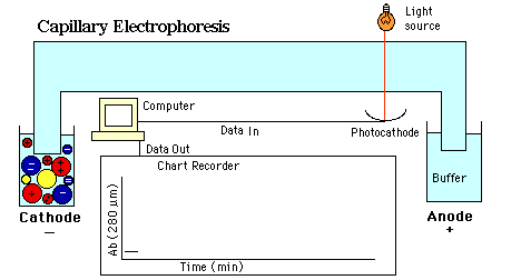 Separation Method Separation Method